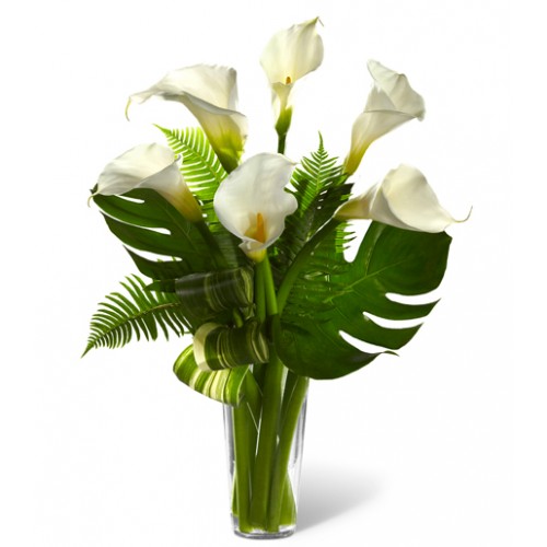 Simple elegant bouquet of white calla lilies bound to make a wonderful tribute to someone's left behind momories of a big life well-lived.