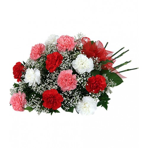 Wrapped bouquet of twelve long lasting pink, red and white carnations with baby's breath, greens and red organza bow.