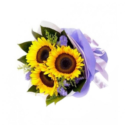 Everyone loves sunflowers! What's not to love? Give them a beautiful uplifting wrapped bouquet of several sunflowers with added greens and a matching bow.