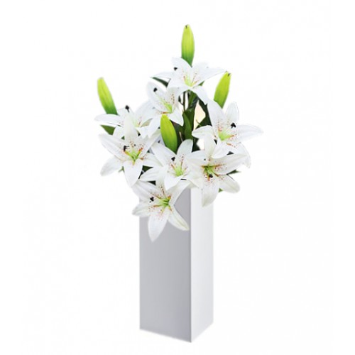 This pearly white lilies presentation stands within a tall ceramic vase, simple yet elegant. Sophisticated and thoughtful gift for all occasions.