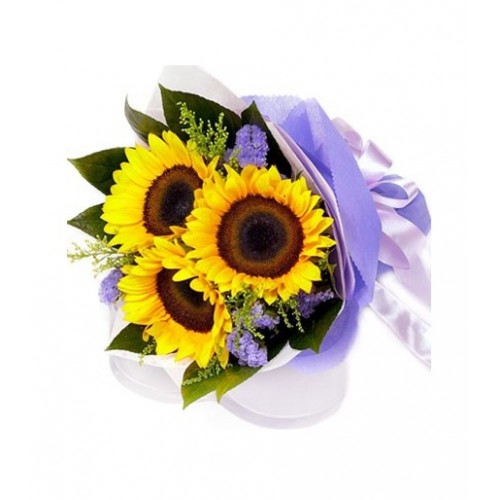 Everyone loves sunflowers! What's not to love? Give them a beautiful uplifting wrapped bouquet of several sunflowers with added greens and a matching bow.