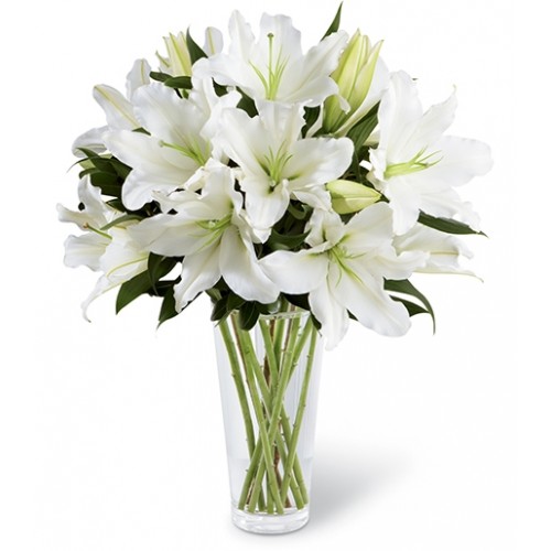 Bright arrangement to convey your deepest sympathies for the loss of their loved one. Bouquet of gorgeous Oriental lilies accented with lush greens.