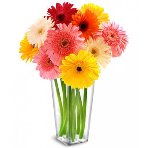 Newborn Baby Flowers