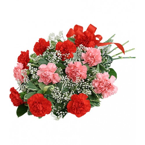 Wrapped bouquet of twelve long lasting pink and red carnations with baby's breath and variegated pittisporum, tied with a red satin bow.