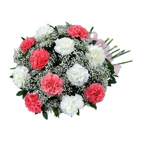 One dozen long lasting pink and white carnations with baby's breath and greenery, tied with a pink organza bow. Simple and affordable, order directly with a florist online today!