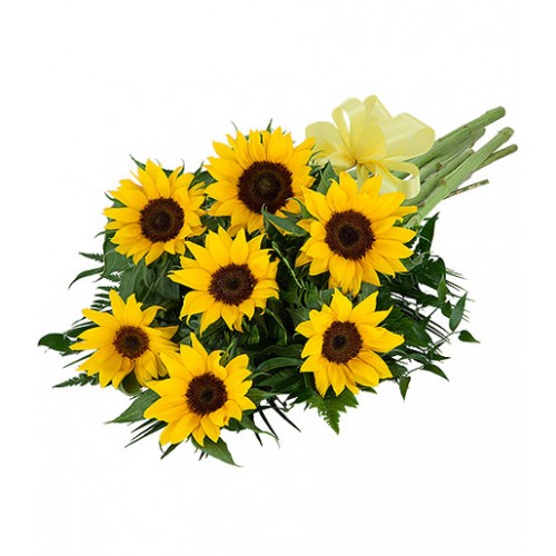 Everyone loves sunflowers! What's not to love? Give them an uplifting bouquet of several sunflowers with added greens and matching yellow bow for any occasion.