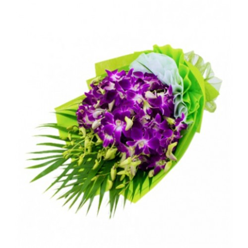 Lively wrapped bouquet of purple orchids, tied with a matching bow. A simple yet captivating bouquet for any occasion. A simple yet captivating bouquet for any occasion. Sydney fresh flower delivery, order with us online today!