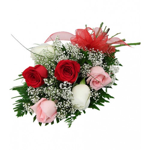 Wrapped bouquet of one half dozen mixed color long stem roses with added baby's breath, greens and matching red organza bow. Roses are always a welcome gift for so many occasions, or 'just because'. Order now!