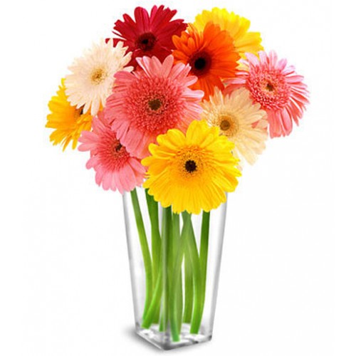 This floral arrangement is put together with gerbera daisies in a range of gorgeous colors like hot pink, yellow and orange. The sheer multitude of colors is a favorite choice for many occasions from birthdays, get well, celebrations and thank you.
