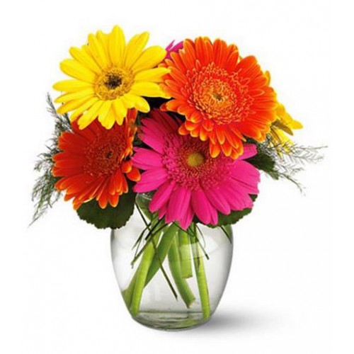 This floral arrangement is put together with gerbera daisies in a range of gorgeous colors like hot pink, yellow and orange. The sheer multitude of colors is a favorite choice for many occasions from birthdays, get well, celebrations and thank you.