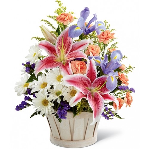 Delightful bouquet the recipient will adore. Stargazer lilies amongst arrangement of iris, traditional daisies, mini carnations, statice & solidago.